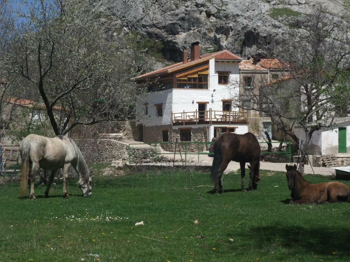 Casas Rurales El Nacimiento Pontones  Eksteriør billede