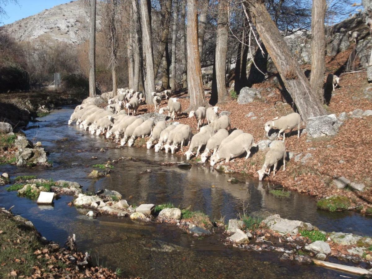 Casas Rurales El Nacimiento Pontones  Eksteriør billede
